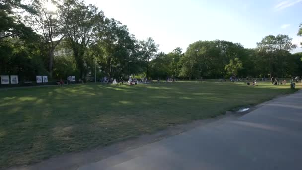 公園でリラックスした人々 — ストック動画