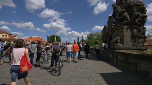 Pejalan Kaki Dan Pengendara Sepeda Jembatan — Stok Video