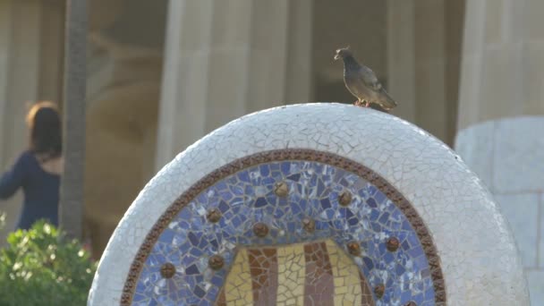 Fågel Sittande Skulptur — Stockvideo