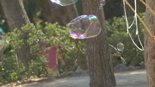 Making Big Soap Bubbles — Stock Video