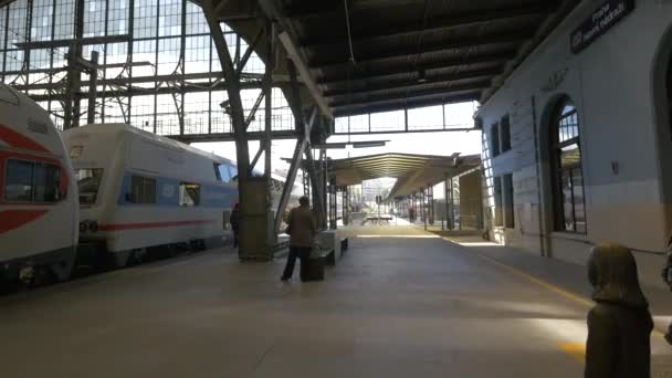 Поїзд Зупинився Залізничній Станції — стокове відео