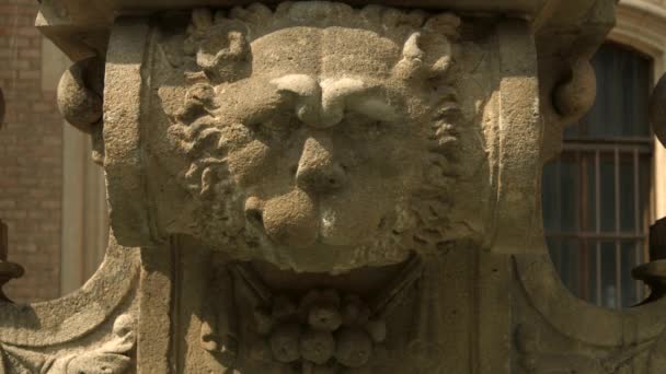 View Lion Head Sculpture — Vídeo de Stock