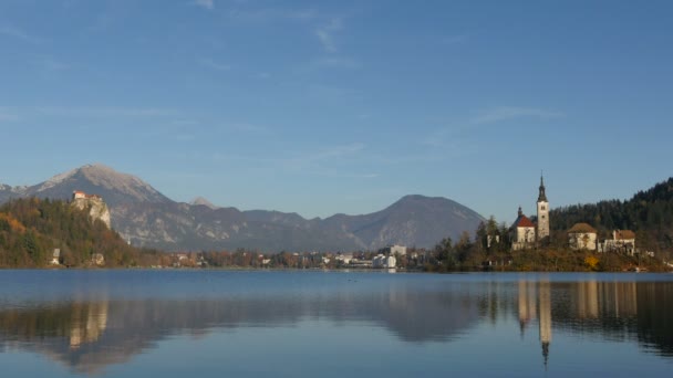 Hermoso Bled Lago Panorama — Vídeos de Stock