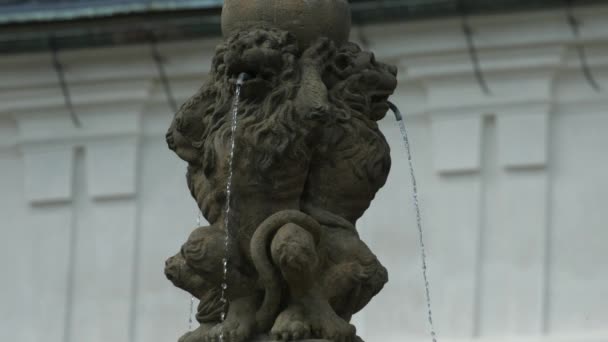 Fountain Lion Sculptures — Αρχείο Βίντεο