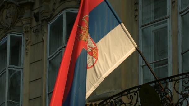 Sırp Bayrağına Bakış — Stok video