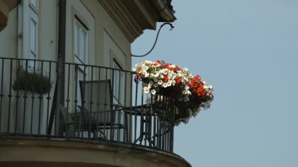 Bloemen Een Balkon — Stockvideo