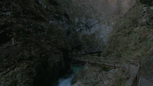 Sentier Bois Dans Gorge Vintgar Bled — Video