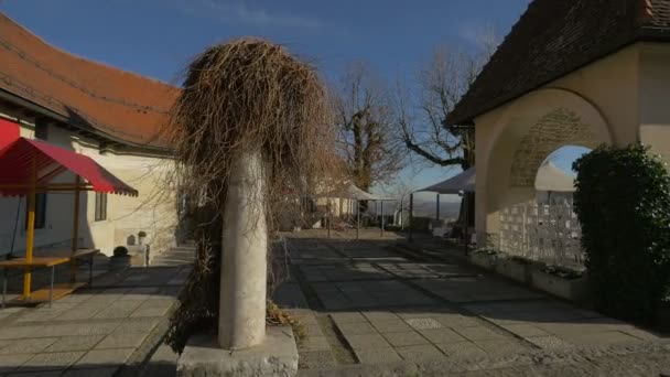 Bled Castle Interior Courtyard — Stock Video