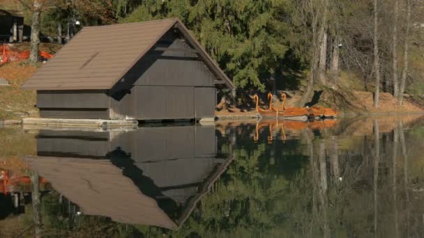 Una Pequeña Casa Madera Una Orilla Del Lago — Vídeos de Stock