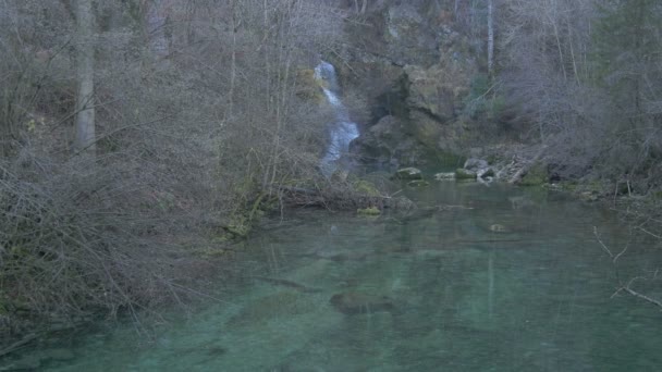 Uma Cachoeira Caindo Lago — Vídeo de Stock