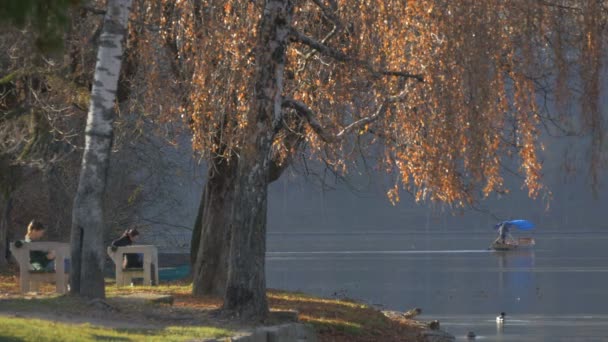 Bancos Colchón Una Orilla Del Lago — Vídeos de Stock