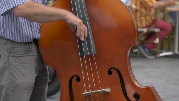 Kontrabass Spielen — Stockvideo