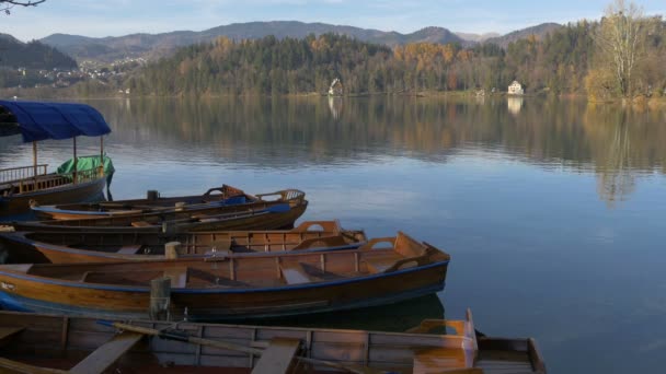 湖に停泊中の木造船 — ストック動画