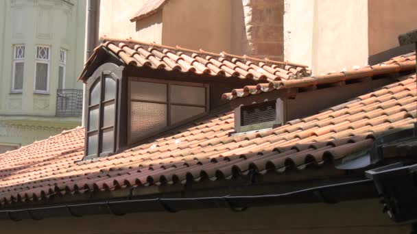昼間は窓のある屋根 — ストック動画