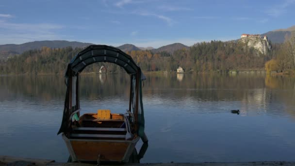 Pletna Ancorado Lago Bled — Vídeo de Stock