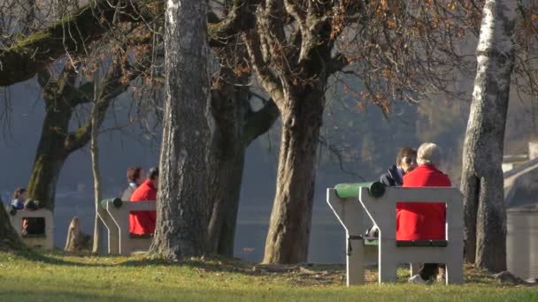 Mensen Zitten Banken Bij Een Meer — Stockvideo