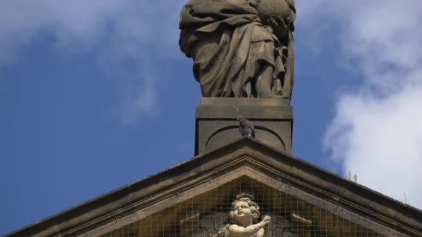 Pigeon Debout Sur Dessus Église Salvator — Video