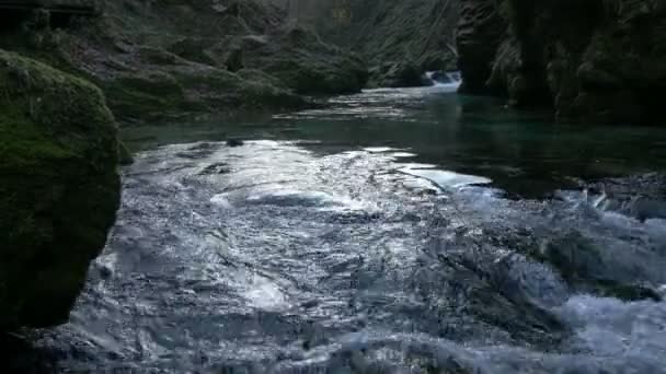 흐르는 강물의 — 비디오