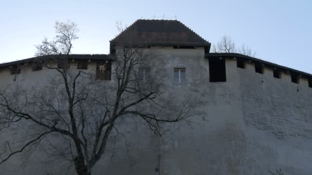 Arbre Sans Feuilles Près Mur Château — Video