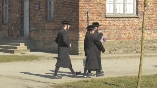 Judíos Visitando Museo Auschwitz — Vídeos de Stock