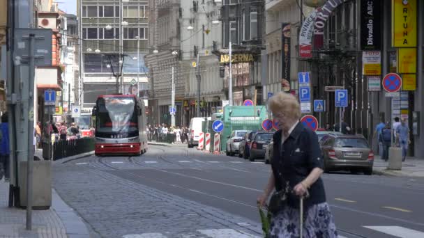 Vodickova Street Prag Tschechische Republik — Stockvideo