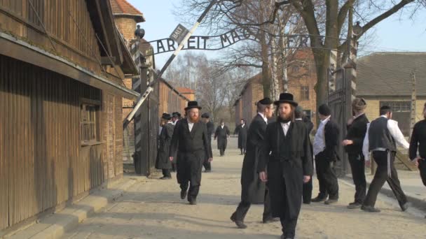 Ebrei Alla Porta Arbeit Macht Frei — Video Stock