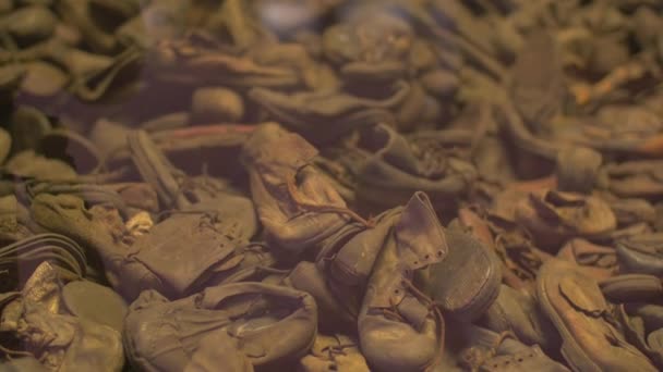 Pile Shoes Auschwitz Museum — Stock Video