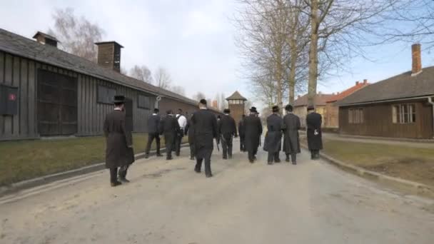 Grupa Żydów Odwiedzających Auschwitz — Wideo stockowe