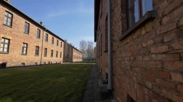 Rote Blöcke Auschwitz — Stockvideo