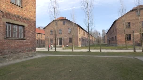 Dentro Del Campo Auschwitz Birkenau — Vídeo de stock