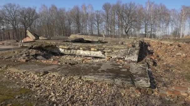 奥斯威辛第三火葬场的废墟 — 图库视频影像