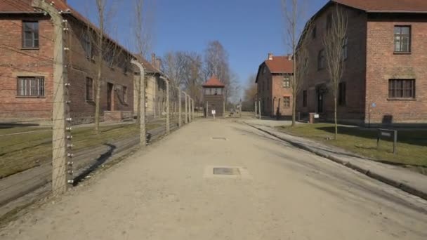 Camino Tierra Que Conduce Torre Vigilancia Auschwitz — Vídeo de stock