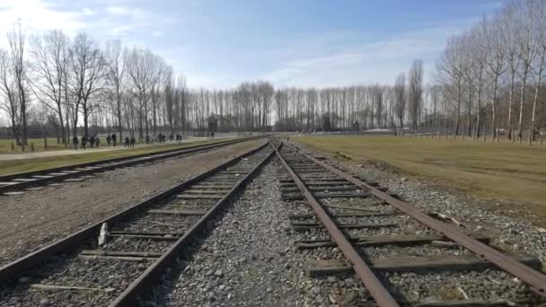 Las Vías Del Tren Auschwitz — Vídeo de stock