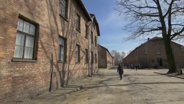 Návštěva Bývalého Tábora Smrti Polsku — Stock video