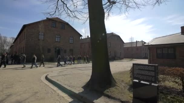 アウシュビッツを訪れる子供たち 歴史的概念 — ストック動画
