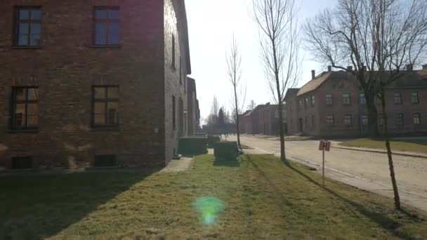 Czerwone Bloki Auschwitz — Wideo stockowe
