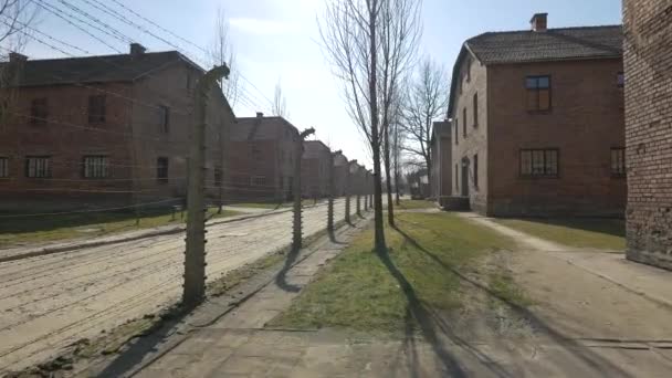 Cerca Arame Farpado Dentro Auschwitz — Vídeo de Stock
