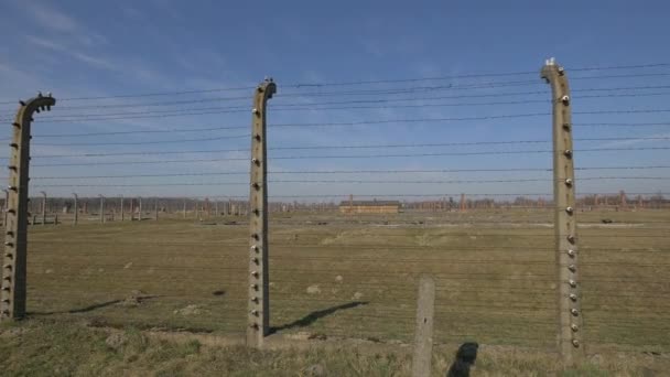 Campo Ruinas Auschwitz — Vídeo de stock