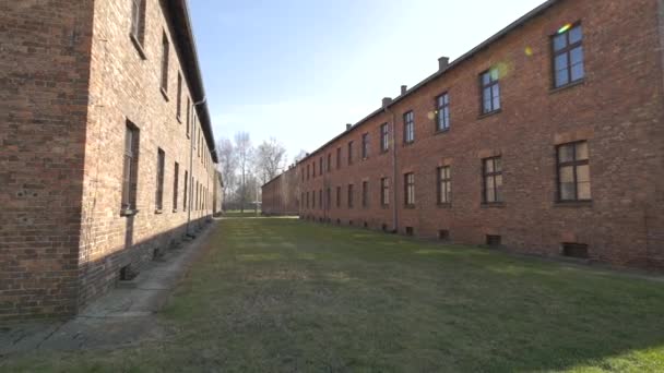 Allée Entre Les Blocs Rouges Auschwitz — Video