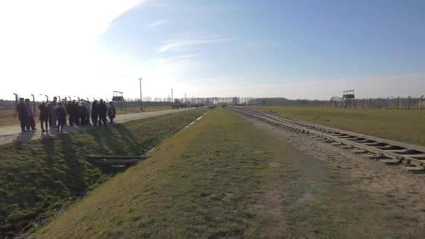 Chemin Fer Auschwitz Pologne — Video