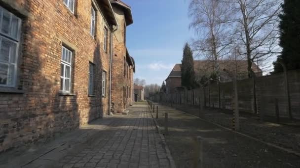 Rode Blokken Bij Auschwitz — Stockvideo