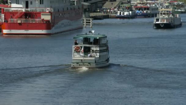 Човни Пливуть Річці — стокове відео