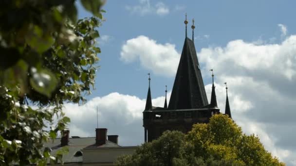 Tour Pont Vieille Ville Derrière Les Branches — Video