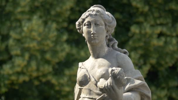 Αμμόλιθο Άγαλμα Της Δόξας Στο Saxon Garden — Αρχείο Βίντεο
