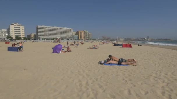People Tanning Beach — Stock Video