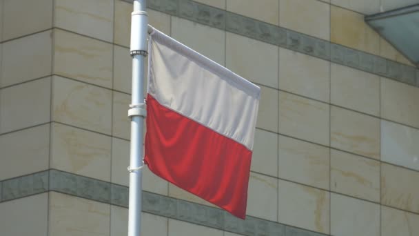 Σημαία Της Πολωνίας Στη Βαρσοβία — Αρχείο Βίντεο