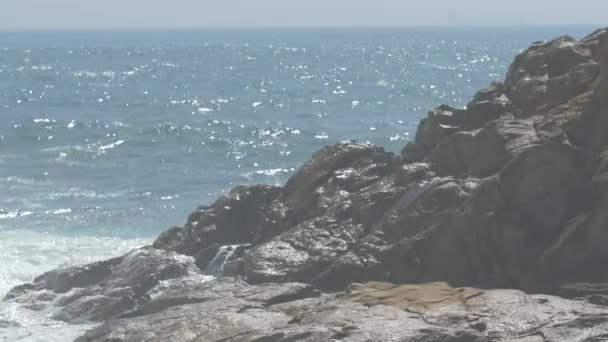 Vista Delle Onde Che Colpiscono Rocce — Video Stock