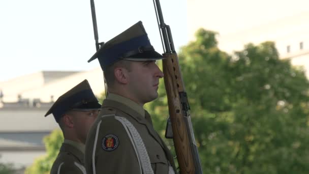 Close Armed Forces Guards Royalty Free Stock Footage