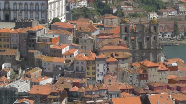 City Panorama Building Rooftops — Stock Video