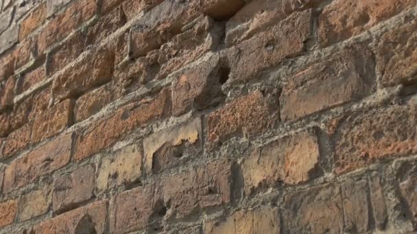 Inclinado Hacia Abajo Una Pared Ladrillo — Vídeos de Stock